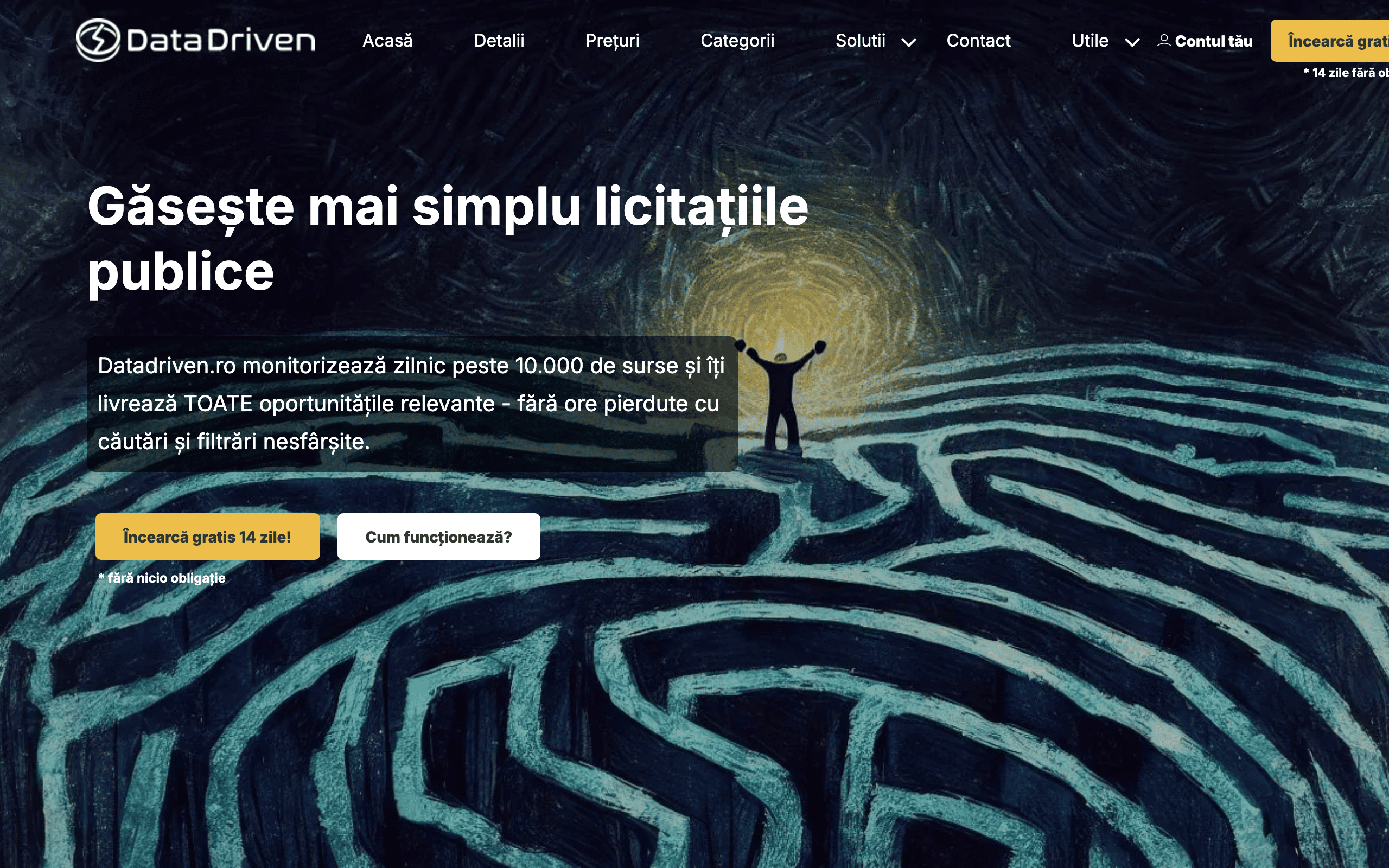 datadriven.ro homepage